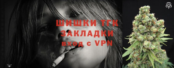дмт Ельня