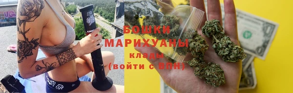 сатива Кирс
