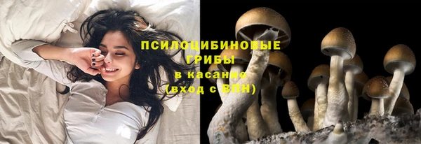 таблы Зерноград