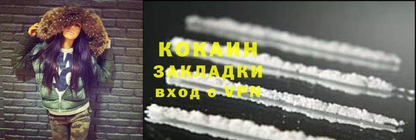 ПСИЛОЦИБИНОВЫЕ ГРИБЫ Заволжье