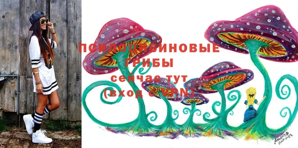 ПСИЛОЦИБИНОВЫЕ ГРИБЫ Заволжье