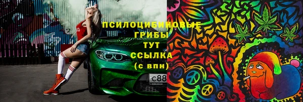 ПСИЛОЦИБИНОВЫЕ ГРИБЫ Заволжье