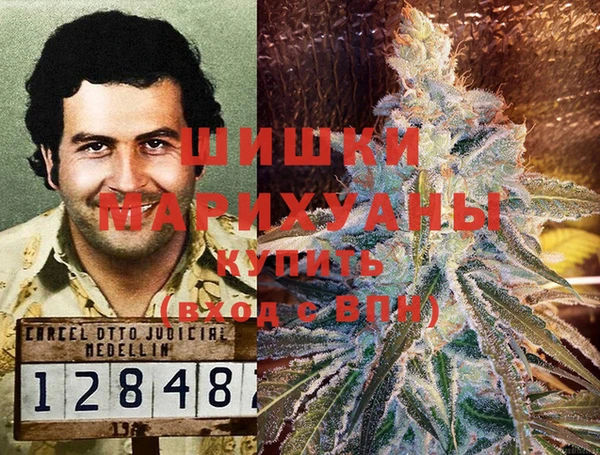 ПСИЛОЦИБИНОВЫЕ ГРИБЫ Заволжье