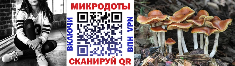 Псилоцибиновые грибы прущие грибы  как найти   Сасово 