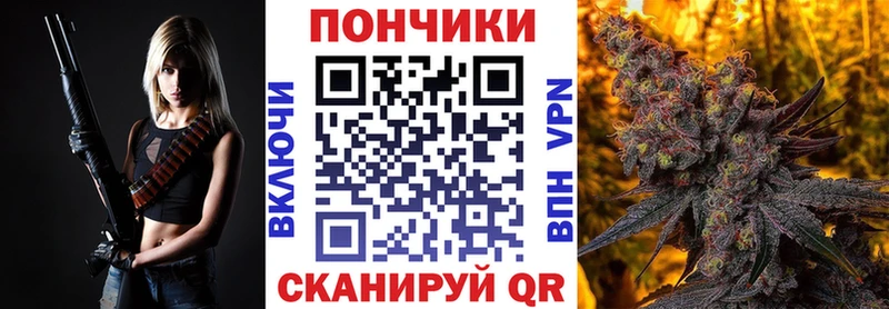 Бошки марихуана марихуана  как найти наркотики  Сасово 
